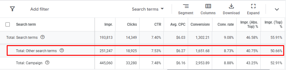 Google Ads Search Terms Report: Other Search Terms row shows 251K impressions and 18.9K clicks — more than the visible search terms segment